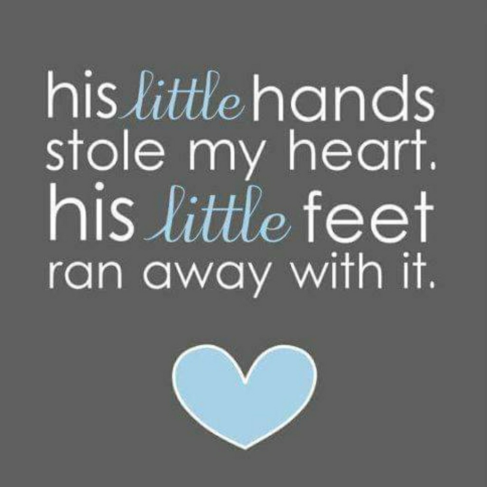 Meet your Posher, Joy